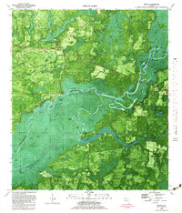 preview thumbnail of historical topo map of Walton County, FL in 1982
