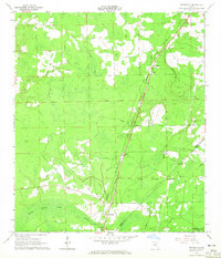 preview thumbnail of historical topo map of Nassau County, FL in 1964