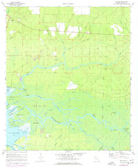 Download a high-resolution, GPS-compatible USGS topo map for Bunker, FL (1977 edition)