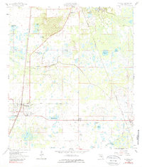 Download a high-resolution, GPS-compatible USGS topo map for Bushnell, FL (1989 edition)