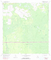 preview thumbnail of historical topo map of Collier County, FL in 1962