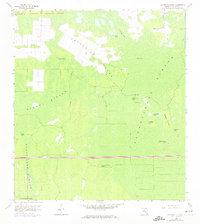 Download a high-resolution, GPS-compatible USGS topo map for Catherine Island, FL (1974 edition)