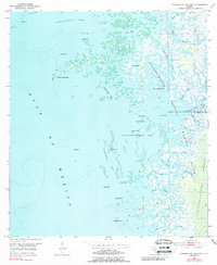 Download a high-resolution, GPS-compatible USGS topo map for Chassahowitzka Bay, FL (1988 edition)