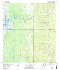 Download a high-resolution, GPS-compatible USGS topo map for Chassahowitzka, FL (1989 edition)