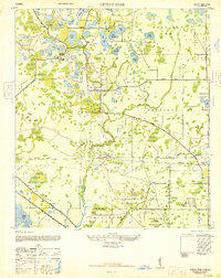 Download a high-resolution, GPS-compatible USGS topo map for Citrus Park, FL (1947 edition)