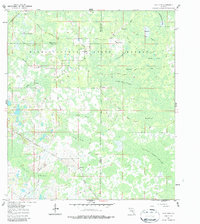 Download a high-resolution, GPS-compatible USGS topo map for Clay Sink, FL (1987 edition)