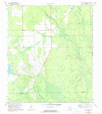 preview thumbnail of historical topo map of Flagler County, FL in 1972