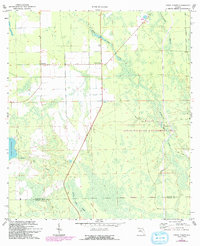 Download a high-resolution, GPS-compatible USGS topo map for Codys Corner, FL (1993 edition)