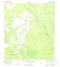 Download a high-resolution, GPS-compatible USGS topo map for Codys Corner, FL (1973 edition)
