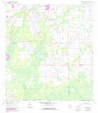 Download a high-resolution, GPS-compatible USGS topo map for Corkscrew NW, FL (1987 edition)
