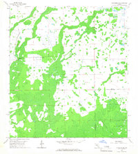 Download a high-resolution, GPS-compatible USGS topo map for Corkscrew NW, FL (1967 edition)
