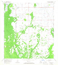 Download a high-resolution, GPS-compatible USGS topo map for Corkscrew SE, FL (1966 edition)
