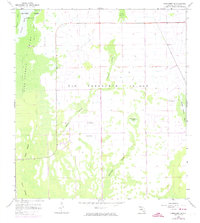Download a high-resolution, GPS-compatible USGS topo map for Corkscrew SE, FL (1974 edition)