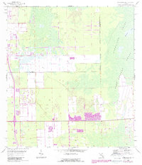 Download a high-resolution, GPS-compatible USGS topo map for Corkscrew SW, FL (1988 edition)