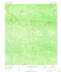 1955 Map of Columbia County, FL, 1956 Print