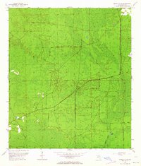 1954 Map of Cross City SW, 1964 Print