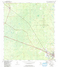 Download a high-resolution, GPS-compatible USGS topo map for Cross City West, FL (1993 edition)