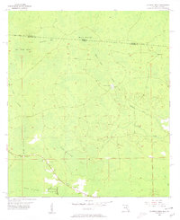 1955 Map of Cypress Creek, 1956 Print