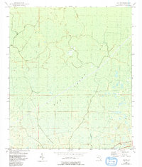 Download a high-resolution, GPS-compatible USGS topo map for Day NW, FL (1993 edition)