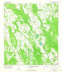 preview thumbnail of historical topo map of Volusia County, FL in 1962