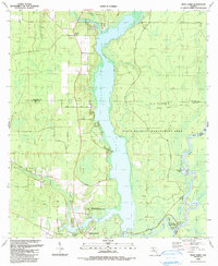 Download a high-resolution, GPS-compatible USGS topo map for Dead Lakes, FL (1990 edition)