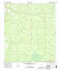 Download a high-resolution, GPS-compatible USGS topo map for Deep Creek, FL (1995 edition)