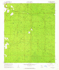 Download a high-resolution, GPS-compatible USGS topo map for Deep Creek, FL (1962 edition)