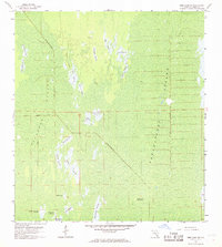 Download a high-resolution, GPS-compatible USGS topo map for Deep Lake SW, FL (1968 edition)