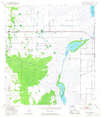 Download a high-resolution, GPS-compatible USGS topo map for Deer Park SE, FL (1968 edition)