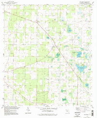 Download a high-resolution, GPS-compatible USGS topo map for Dellwood, FL (1998 edition)