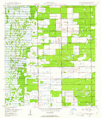 Download a high-resolution, GPS-compatible USGS topo map for Delmar Farms, FL (1961 edition)