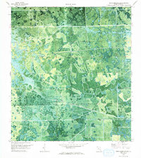 Download a high-resolution, GPS-compatible USGS topo map for Devils Garden Slough, FL (1993 edition)