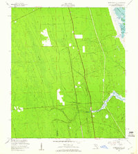 Download a high-resolution, GPS-compatible USGS topo map for Dinner Island NE, FL (1960 edition)