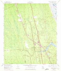 Download a high-resolution, GPS-compatible USGS topo map for Dinner Island NE, FL (1972 edition)