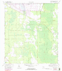 preview thumbnail of historical topo map of Flagler County, FL in 1970