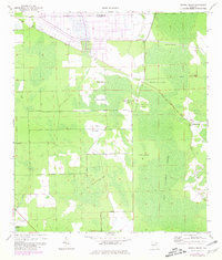 Download a high-resolution, GPS-compatible USGS topo map for Dinner Island, FL (1981 edition)