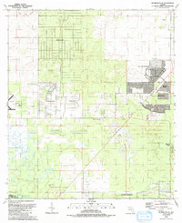 preview thumbnail of historical topo map of Marion County, FL in 1991