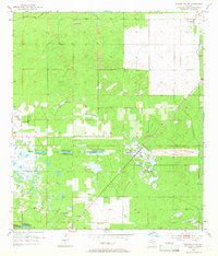 preview thumbnail of historical topo map of Marion County, FL in 1954