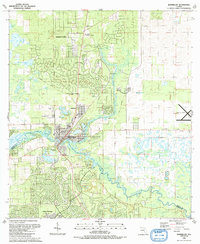 preview thumbnail of historical topo map of Dunnellon, FL in 1991