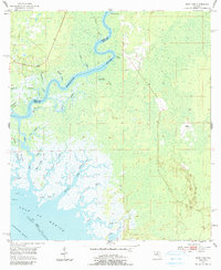 Download a high-resolution, GPS-compatible USGS topo map for East Pass, FL (1990 edition)