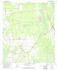 Download a high-resolution, GPS-compatible USGS topo map for Elkton, FL (1988 edition)