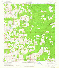 Download a high-resolution, GPS-compatible USGS topo map for Ellisville, FL (1964 edition)