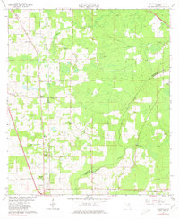 Download a high-resolution, GPS-compatible USGS topo map for Ellisville, FL (1980 edition)