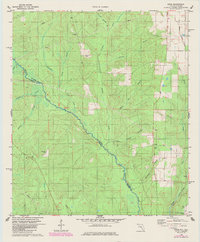 Download a high-resolution, GPS-compatible USGS topo map for Enon, FL (1985 edition)