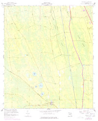preview thumbnail of historical topo map of Flagler County, FL in 1957
