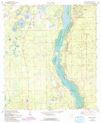 Download a high-resolution, GPS-compatible USGS topo map for Eureka Dam, FL (1993 edition)