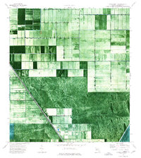 Download a high-resolution, GPS-compatible USGS topo map for Everglades 1 NE, FL (1976 edition)