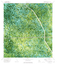 Download a high-resolution, GPS-compatible USGS topo map for Everglades 3 NW, FL (1976 edition)