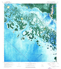 preview thumbnail of historical topo map of Collier County, FL in 1974