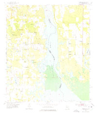 Download a high-resolution, GPS-compatible USGS topo map for Fairchild, FL (1975 edition)